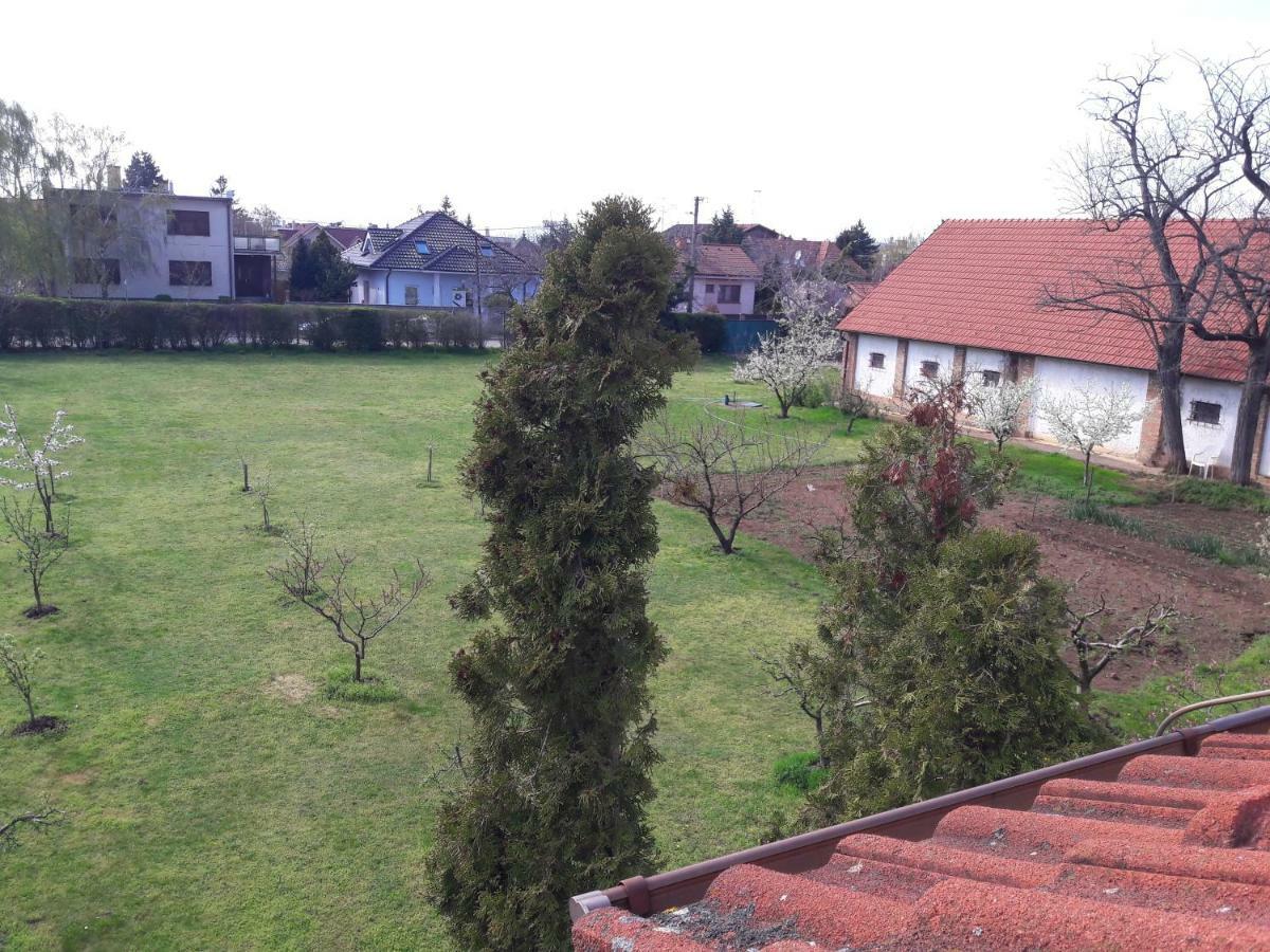 Villa Kysucka Senec Bagian luar foto